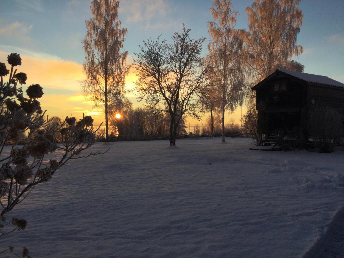 Mysigt Boende I Raettvik Med Utsikt Oever Siljan Buitenkant foto