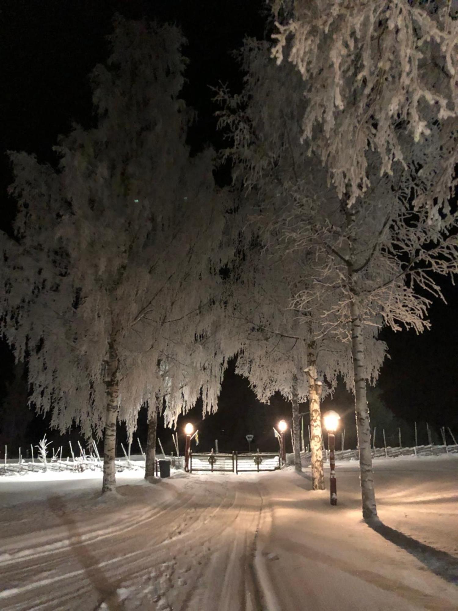 Mysigt Boende I Raettvik Med Utsikt Oever Siljan Buitenkant foto