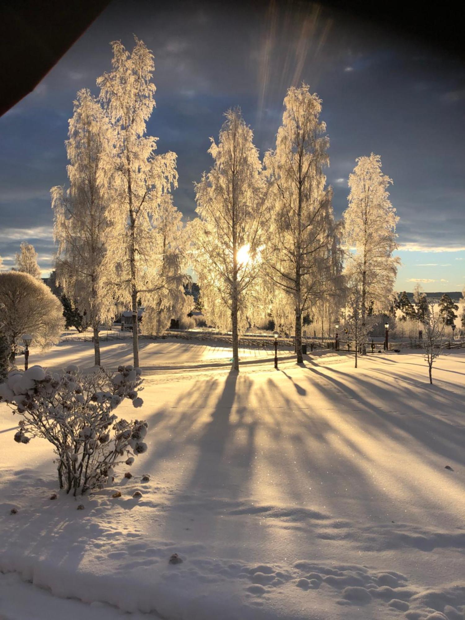 Mysigt Boende I Raettvik Med Utsikt Oever Siljan Buitenkant foto