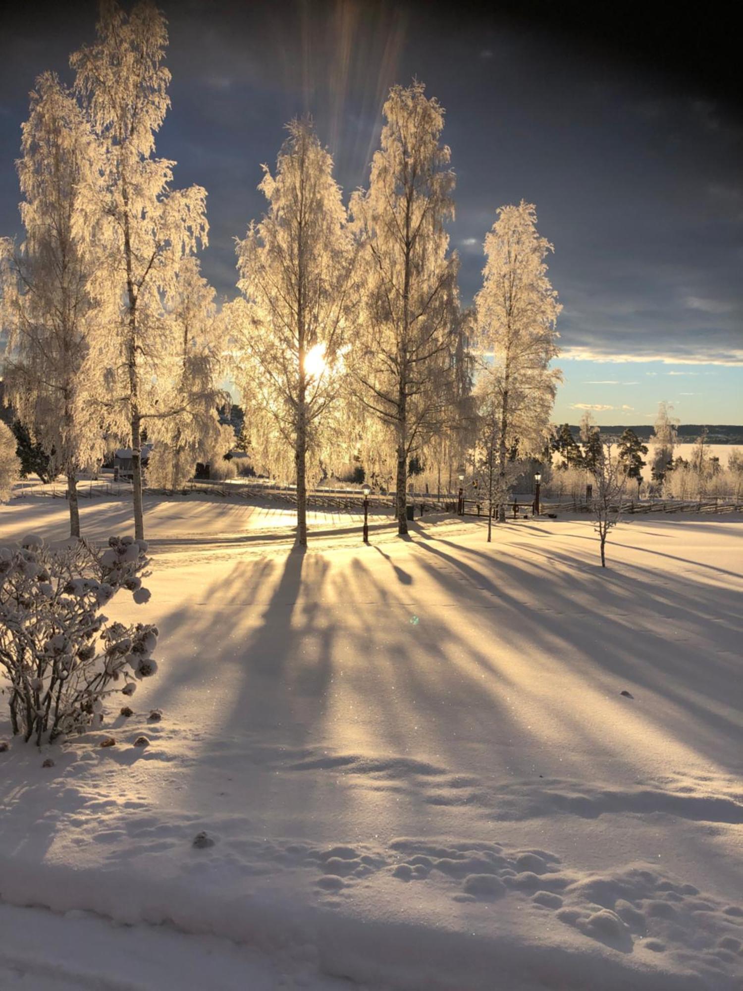 Mysigt Boende I Raettvik Med Utsikt Oever Siljan Buitenkant foto