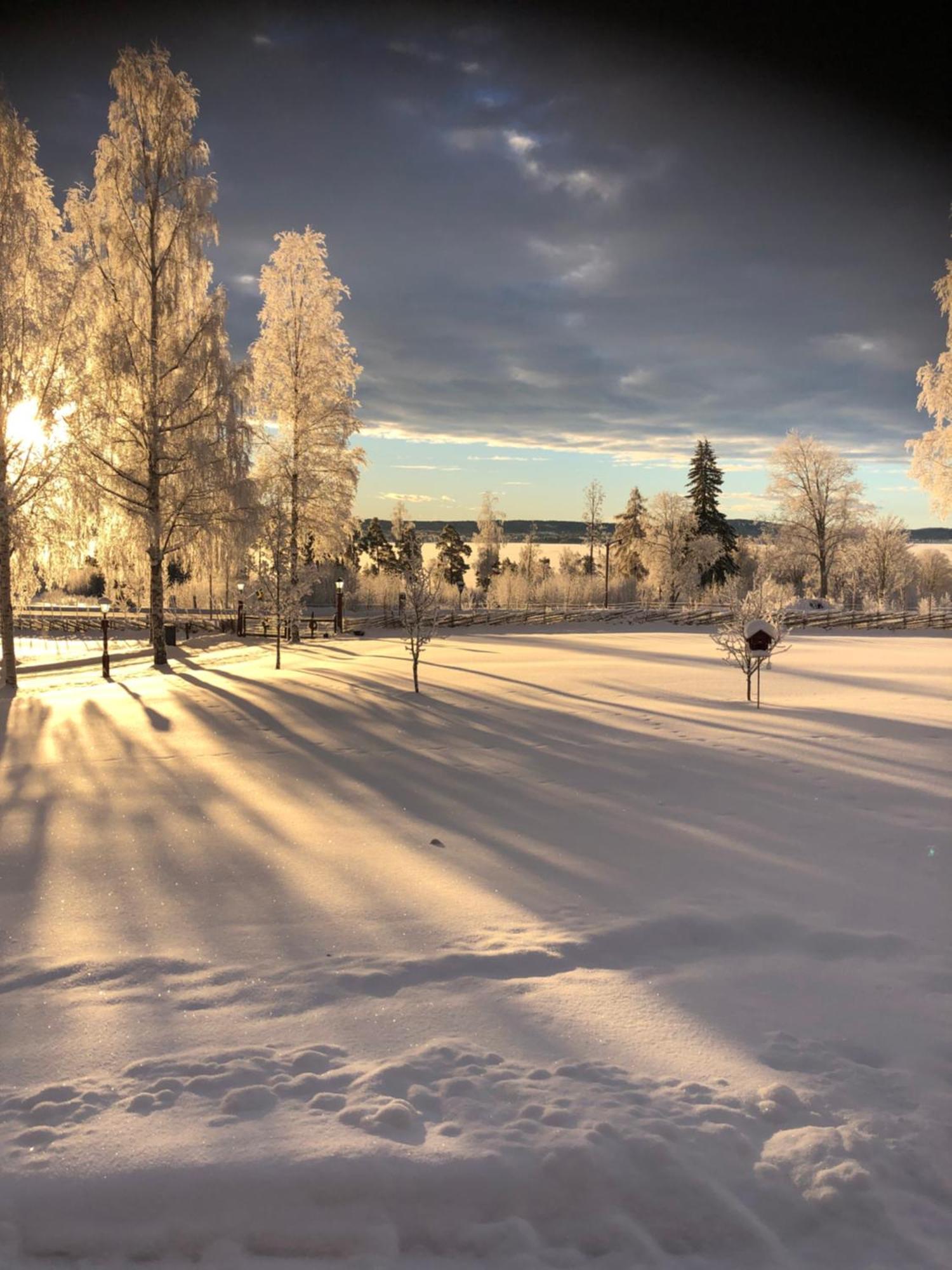 Mysigt Boende I Raettvik Med Utsikt Oever Siljan Buitenkant foto