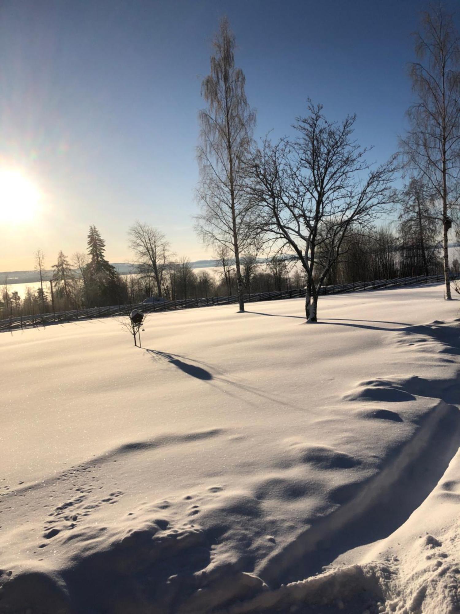 Mysigt Boende I Raettvik Med Utsikt Oever Siljan Buitenkant foto