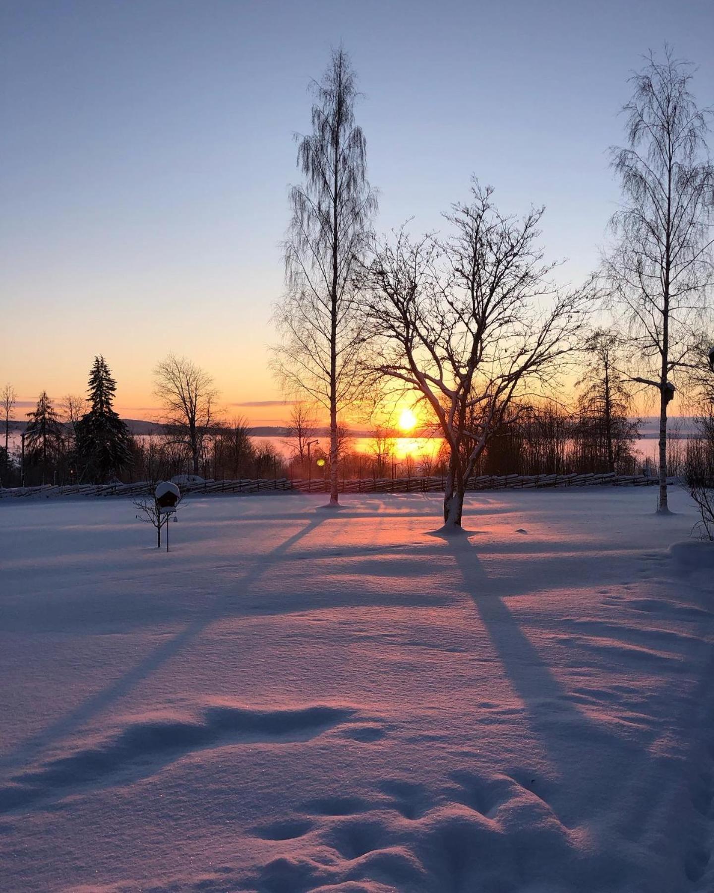Mysigt Boende I Raettvik Med Utsikt Oever Siljan Buitenkant foto