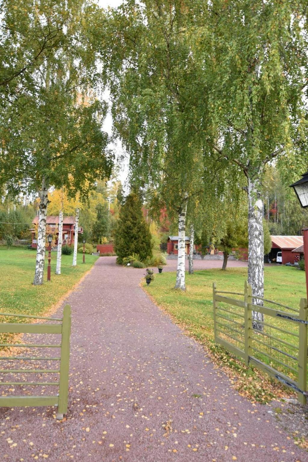 Mysigt Boende I Raettvik Med Utsikt Oever Siljan Buitenkant foto